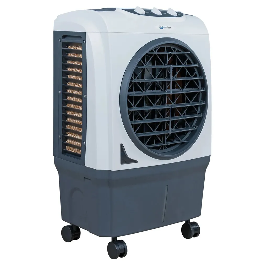BE-3000 Analógico